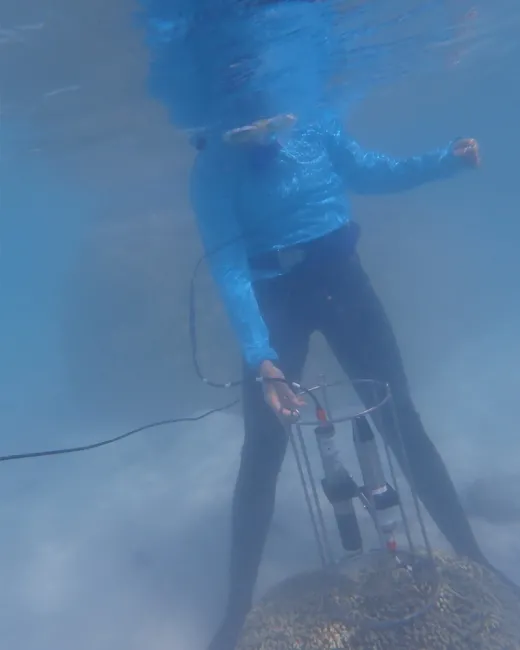 Capteur positionné dans le lagon