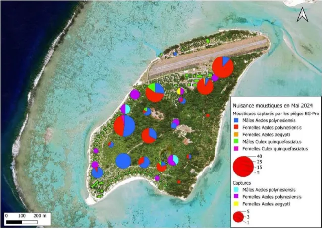 Carte des moustiques à Onetahi