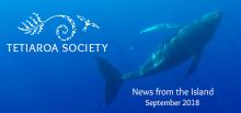 September newsletter features humpback whales