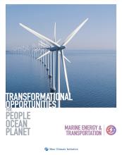 marine energy & transportation